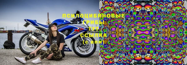 spice Алексин