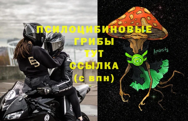 СК Алзамай