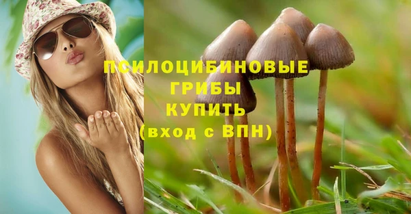spice Алексин
