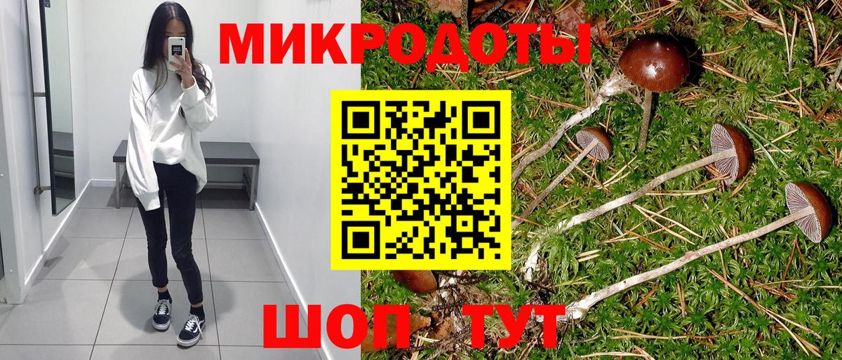 Псилоцибиновые грибы Psilocybine cubensis  Вход с VPN  Сосновоборск  Псилоцибиновые грибы ЛСД 